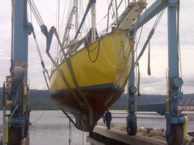 Bocas Yacht Club and Marina 8