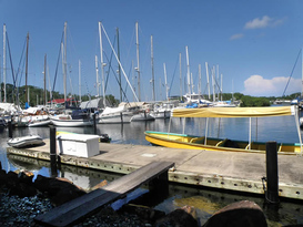 Bocas Yacht Club and Marina 10