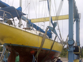 Bocas Yacht Club and Marina 11